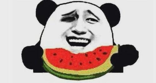 吃瓜群众二哈舔屏视频免费观看,吃瓜群众狂欢时刻! 第1张 吃瓜群众二哈舔屏视频免费观看,吃瓜群众狂欢时刻! 第1张